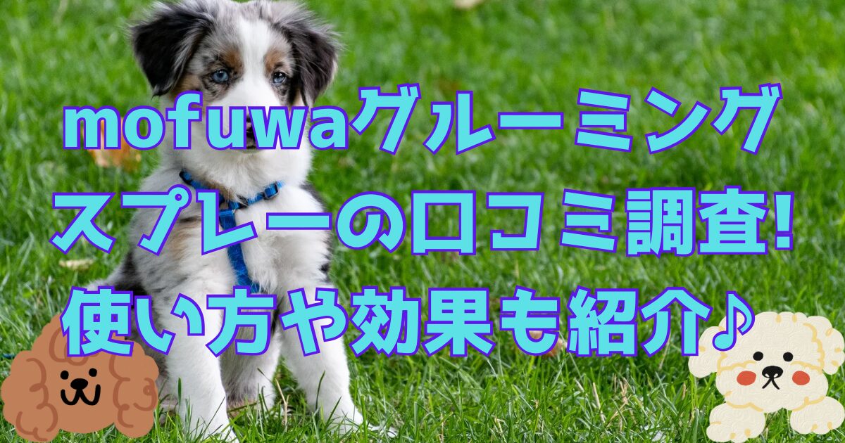 mofuwaグルーミングスプレーの口コミ調査!使い方や効果も紹介♪